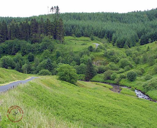 Scottish Borders 8W66D-17.JPG